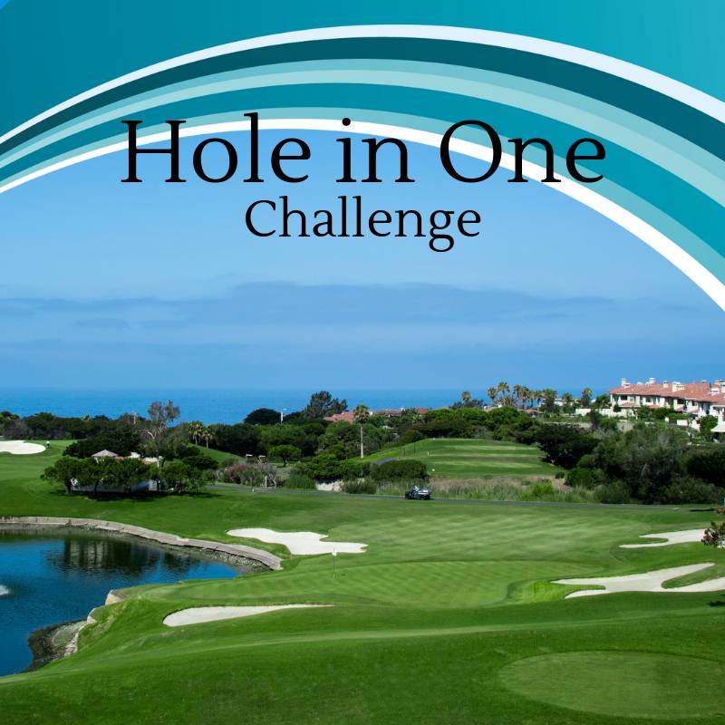 holeinone