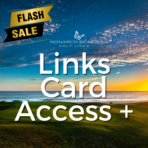 Links Card Access + FLASH SALE
